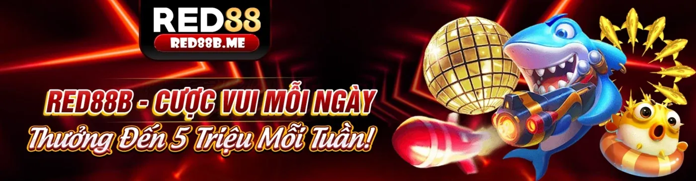 Tổng quan về điều khoản dịch vụ của banca28 link mới nhất